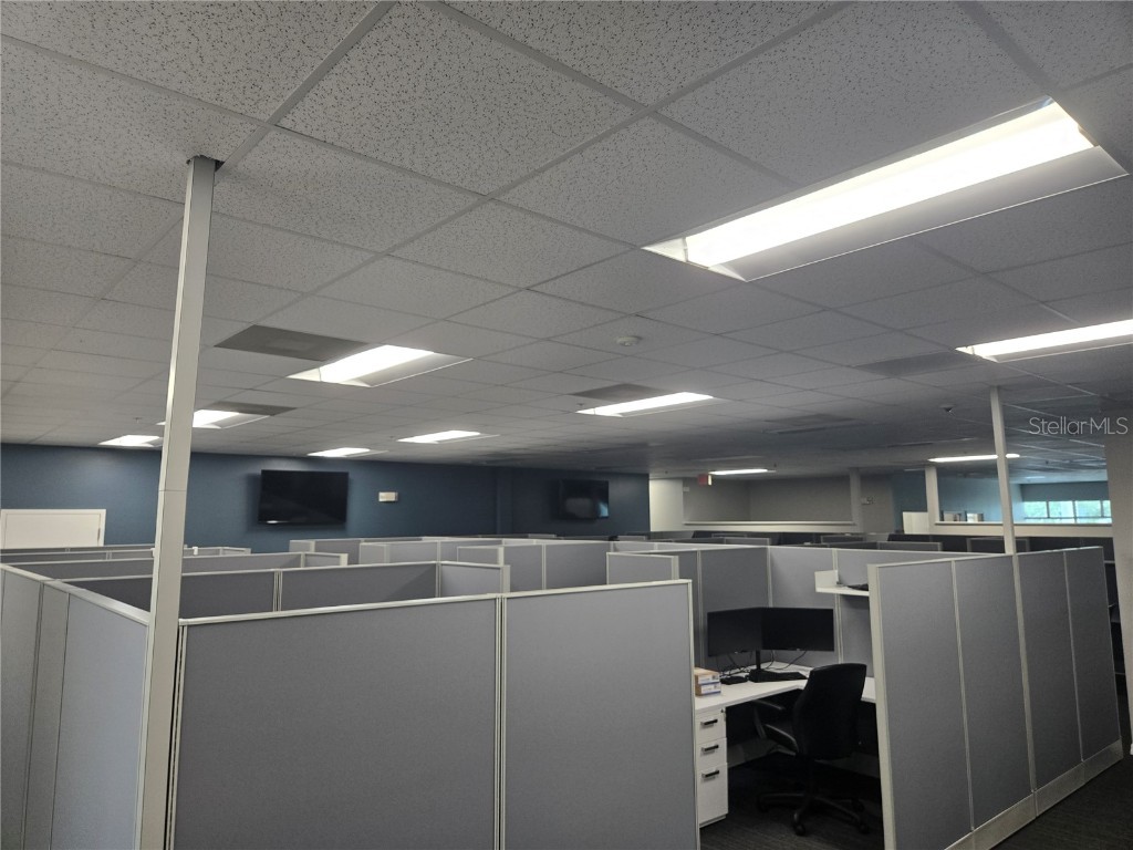 255 Pine Avenue N Oldsmar FL 34677 TB8391758 image42