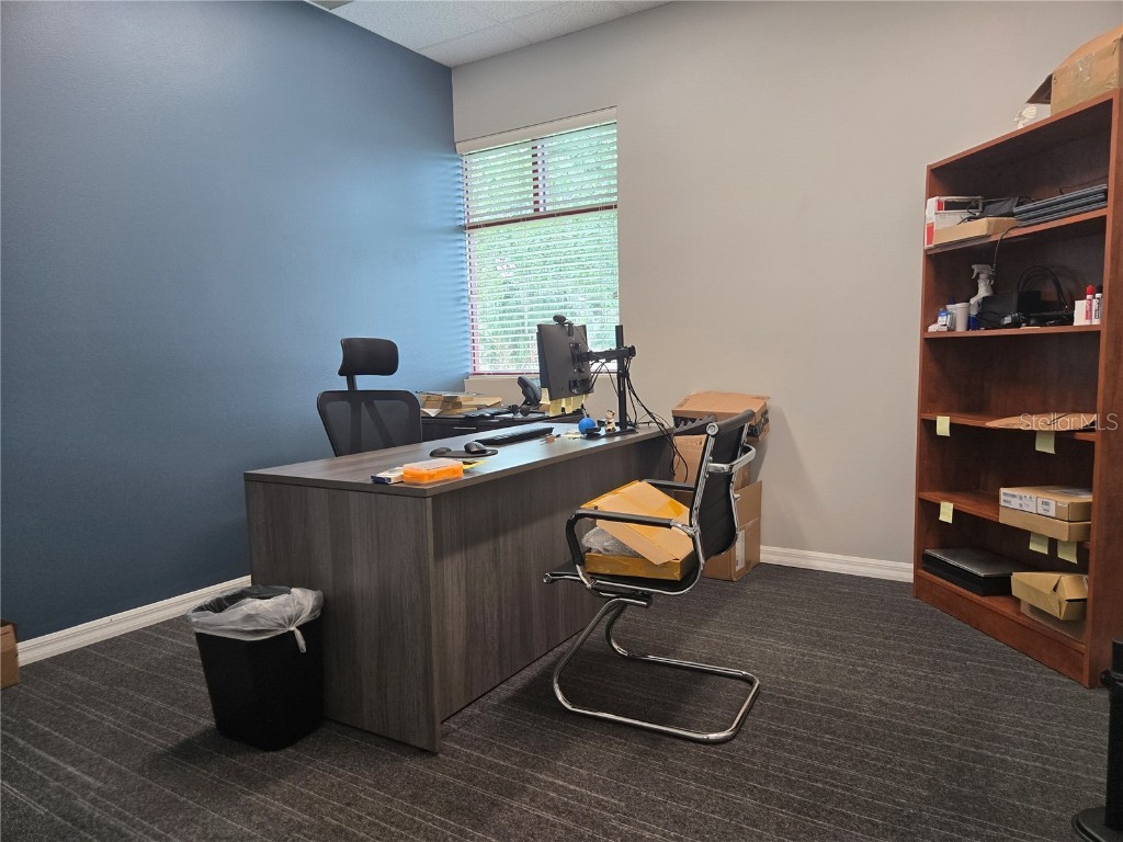 255 Pine Avenue N Oldsmar FL 34677 TB8391758 image44