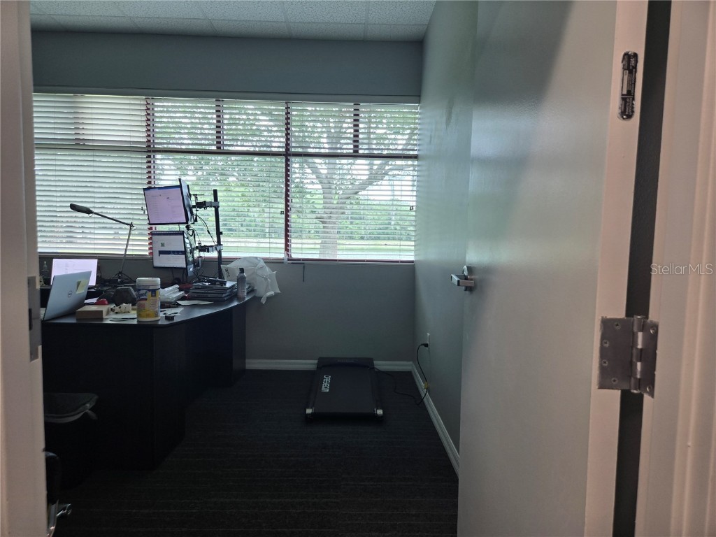 255 Pine Avenue N Oldsmar FL 34677 TB8391758 image45