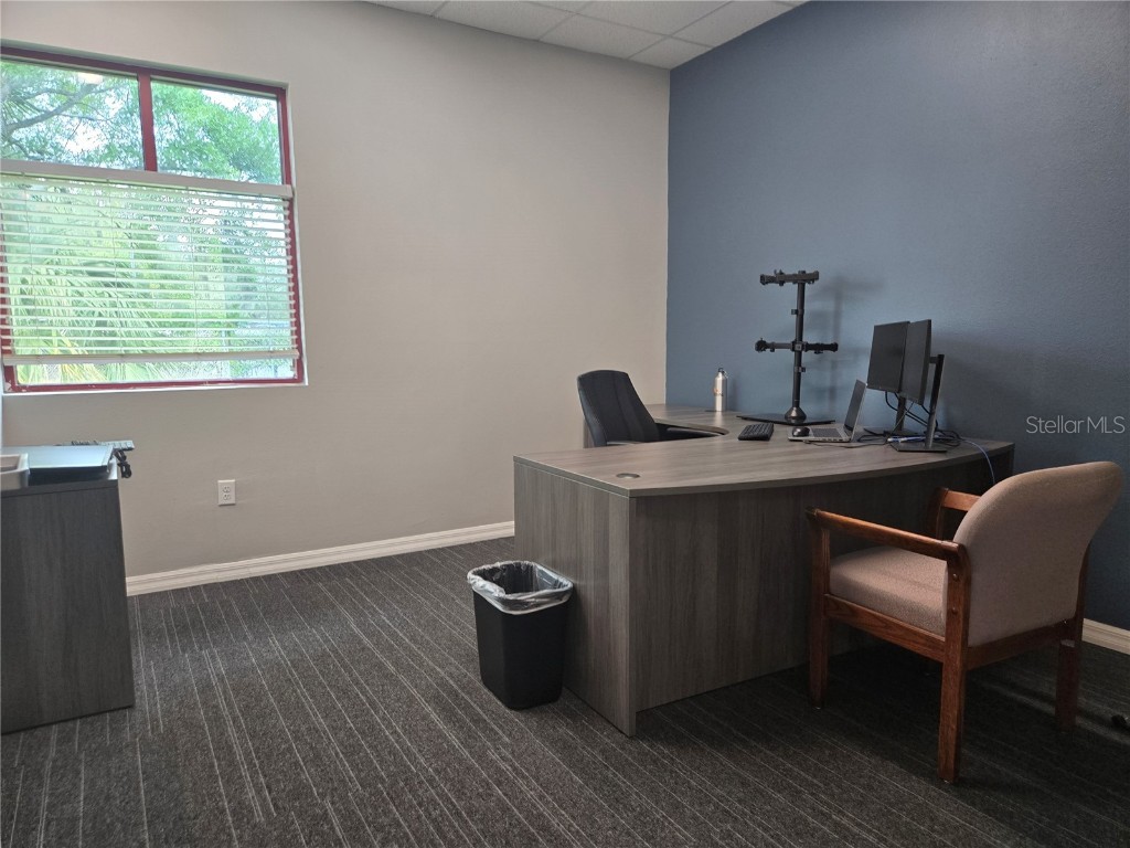 255 Pine Avenue N Oldsmar FL 34677 TB8391758 image47