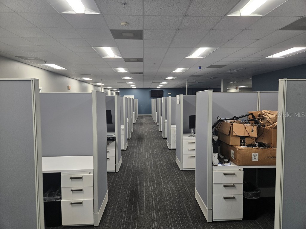 255 Pine Avenue N Oldsmar FL 34677 TB8391758 image48