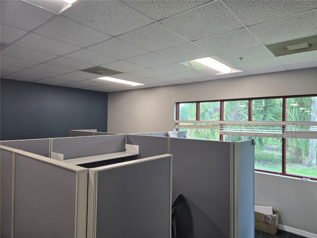 255 Pine Avenue N Oldsmar FL 34677 TB8391758 image49