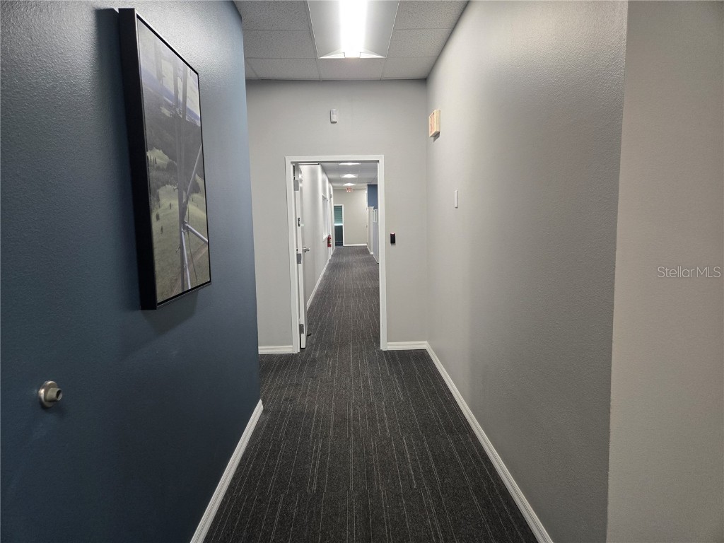 255 Pine Avenue N Oldsmar FL 34677 TB8391758 image5