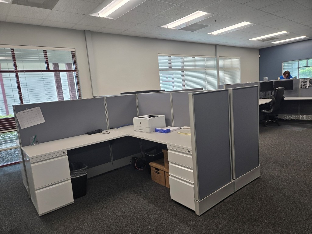 255 Pine Avenue N Oldsmar FL 34677 TB8391758 image51