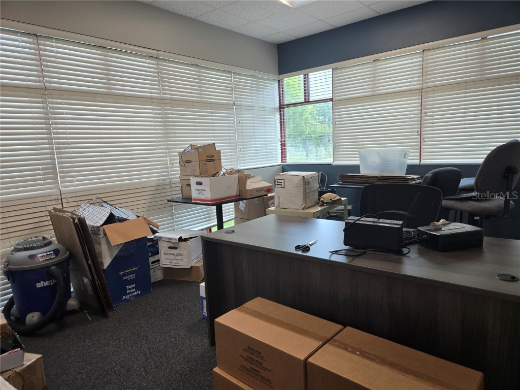 255 Pine Avenue N Oldsmar FL 34677 TB8391758 image52