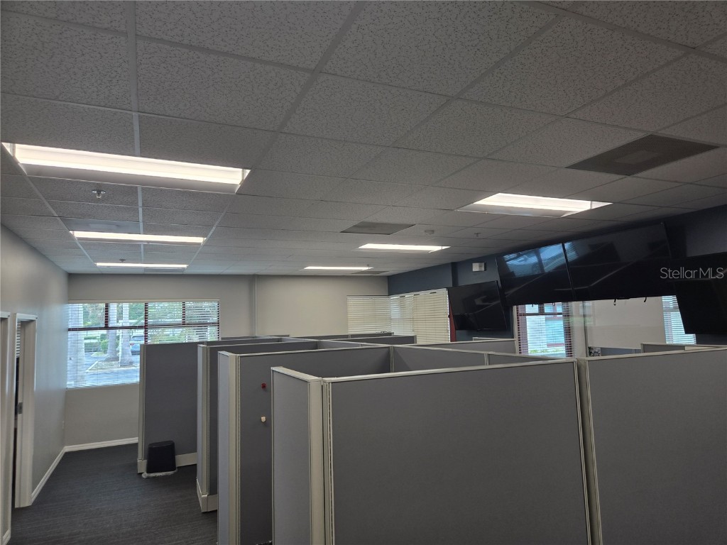 255 Pine Avenue N Oldsmar FL 34677 TB8391758 image54