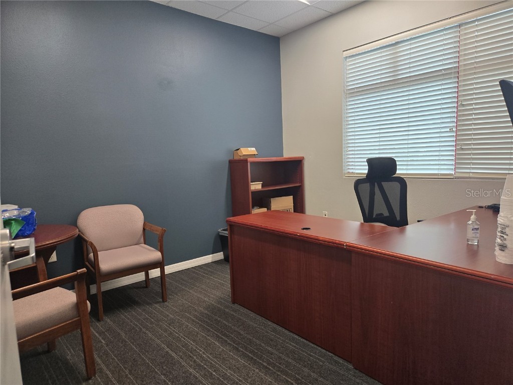 255 Pine Avenue N Oldsmar FL 34677 TB8391758 image56