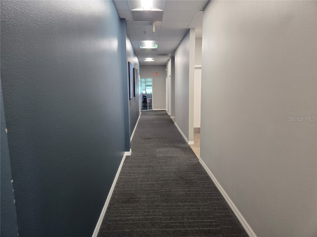 255 Pine Avenue N Oldsmar FL 34677 TB8391758 image6