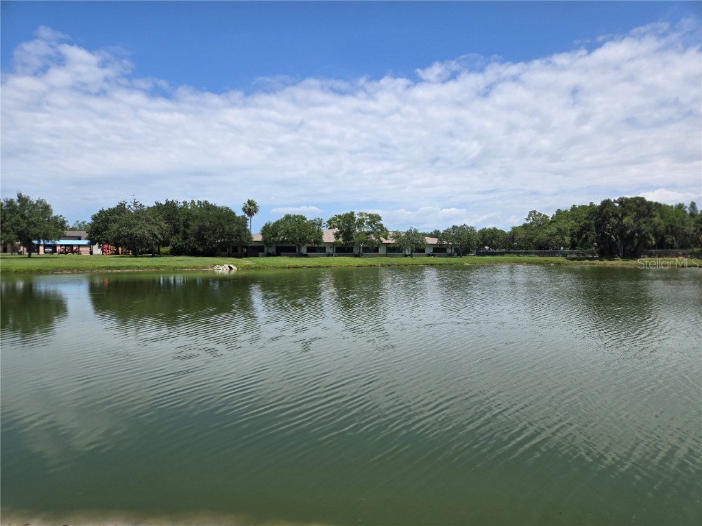 255 Pine Avenue N Oldsmar FL 34677 TB8391758 image64