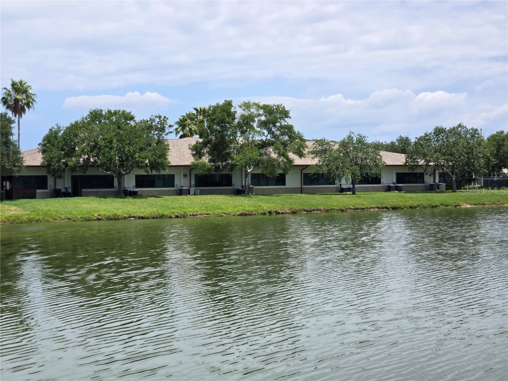 255 Pine Avenue N Oldsmar FL 34677 TB8391758 image65