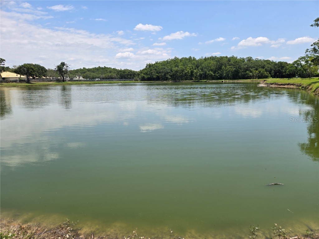 255 Pine Avenue N Oldsmar FL 34677 TB8391758 image66