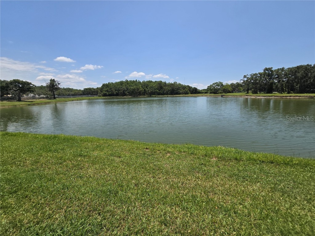 255 Pine Avenue N Oldsmar FL 34677 TB8391758 image67