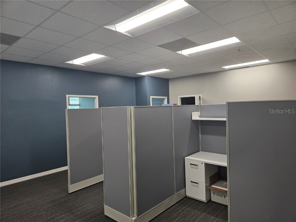 255 Pine Avenue N Oldsmar FL 34677 TB8391758 image7