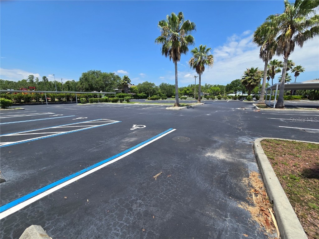 255 Pine Avenue N Oldsmar FL 34677 TB8391758 image74