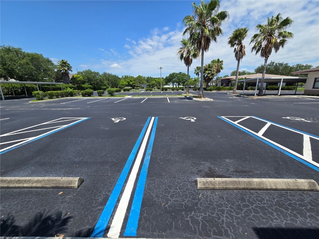 255 Pine Avenue N Oldsmar FL 34677 TB8391758 image75