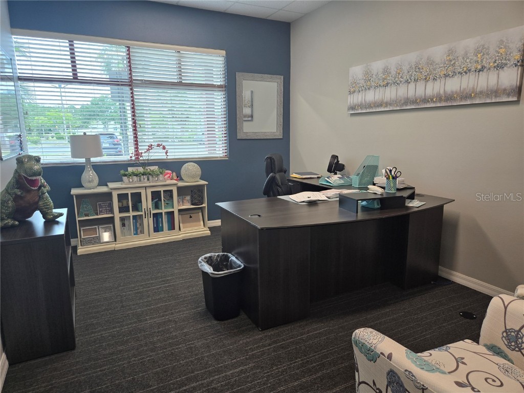 255 Pine Avenue N Oldsmar FL 34677 TB8391758 image8