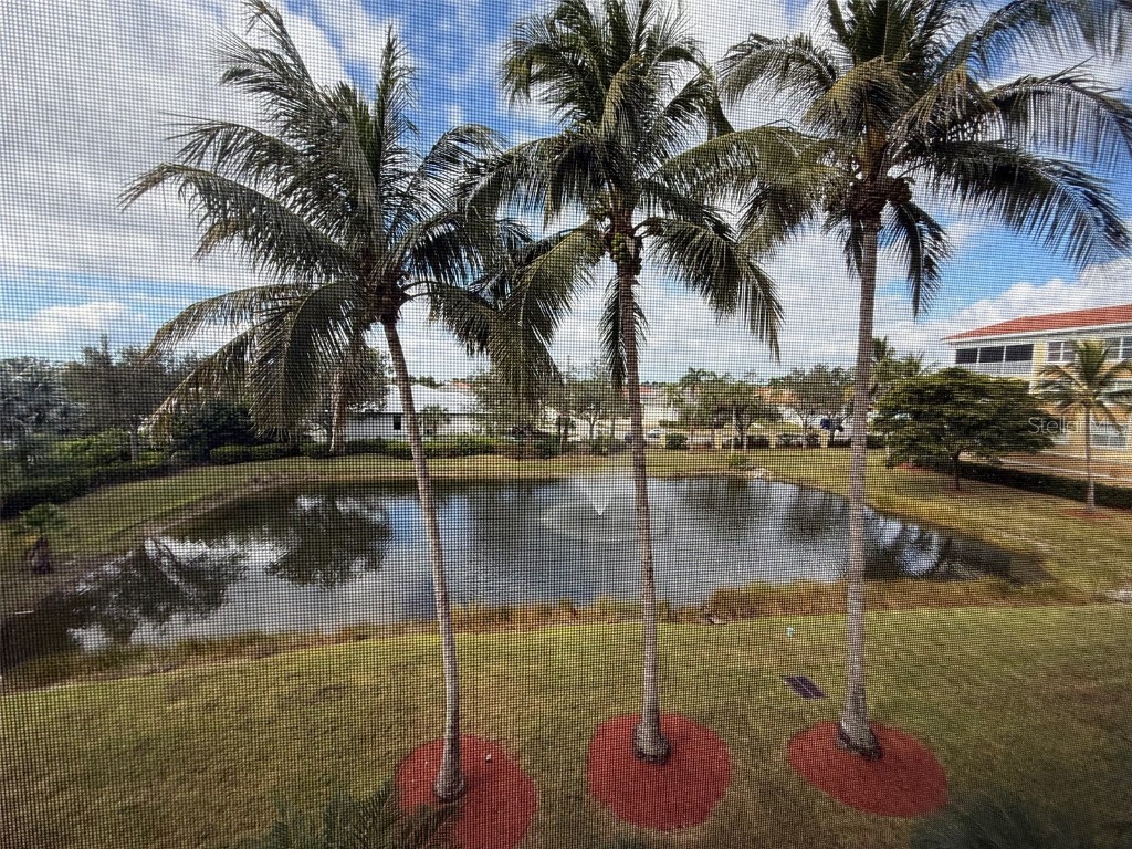 255 West End Drive #3308 Punta Gorda FL 33950 C7517881 image22