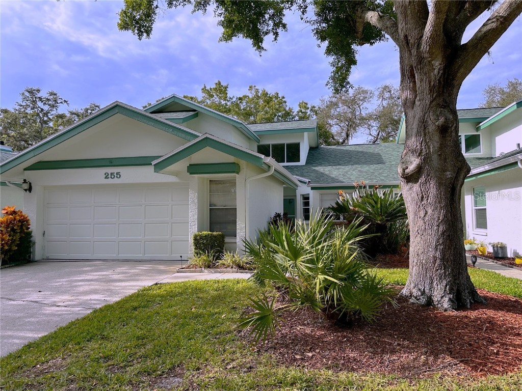255 Woodridge Circle Oldsmar FL 34677 J970961 image1