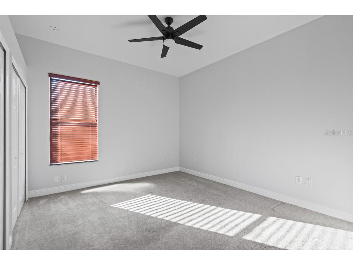 2550 Grand Lakeside Drive Palm Harbor FL 34684 TB8447126 image13