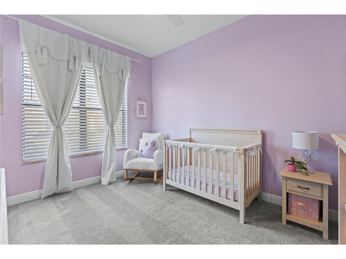 2550 Grand Lakeside Drive Palm Harbor FL 34684 TB8447126 image19