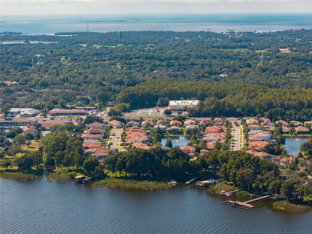 2550 Grand Lakeside Drive Palm Harbor FL 34684 TB8447126 image57