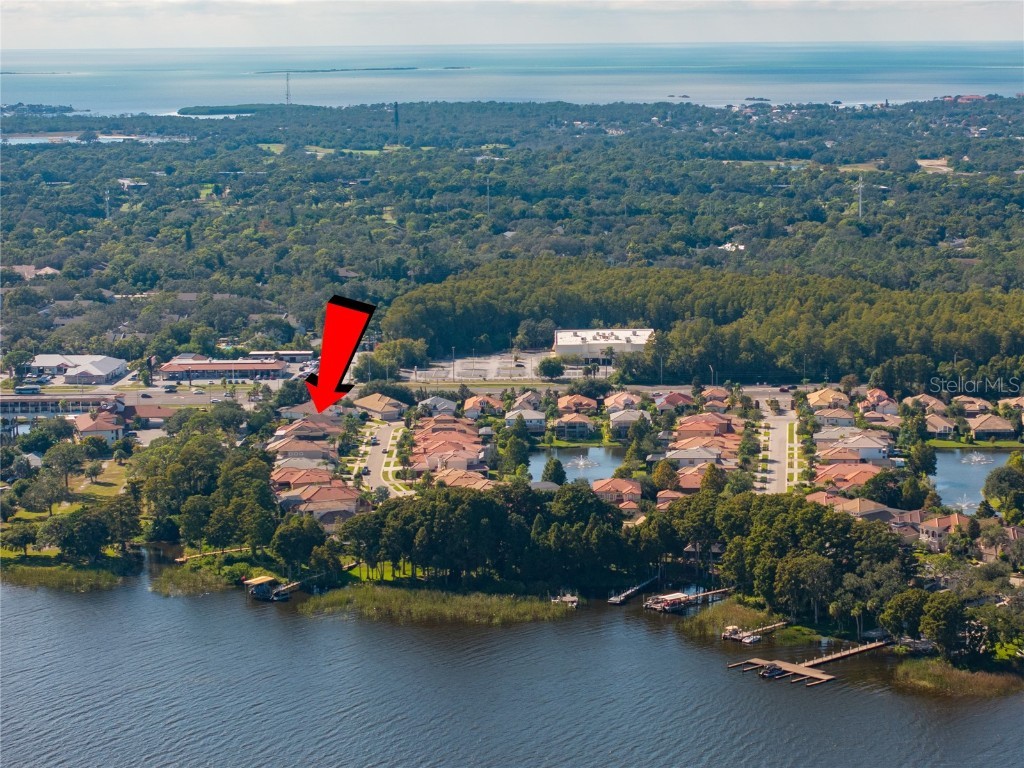 2550 Grand Lakeside Drive Palm Harbor FL 34684 TB8447126 image61