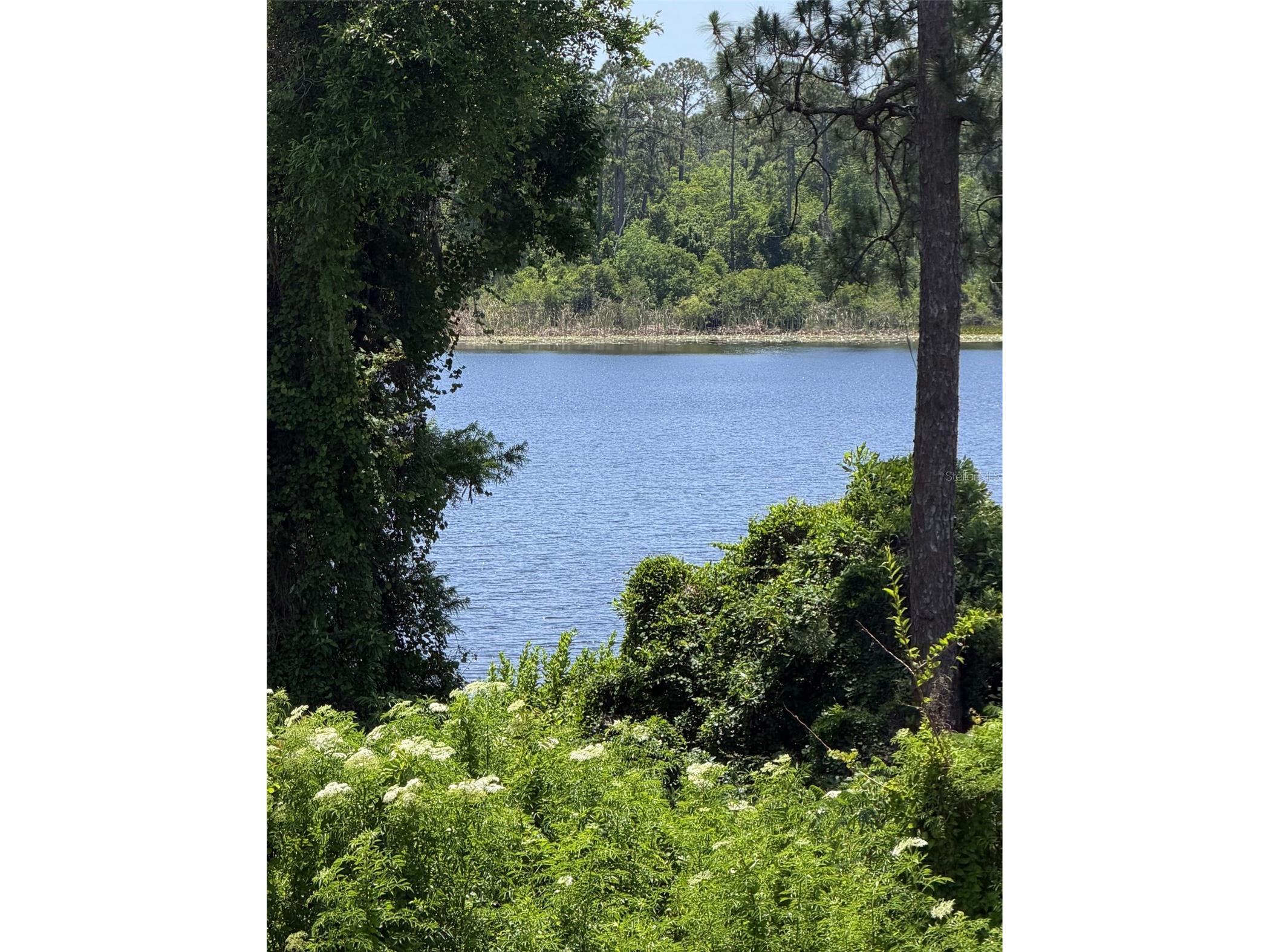 2550 N Alafaya Trail #8204 Orlando FL 32826 O6404144 image20