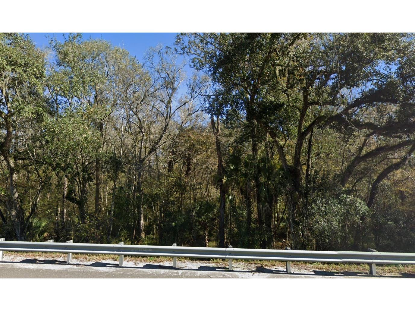 2550 Paul S Buchman Highway Zephyrhills FL 33541 A4695635 image2