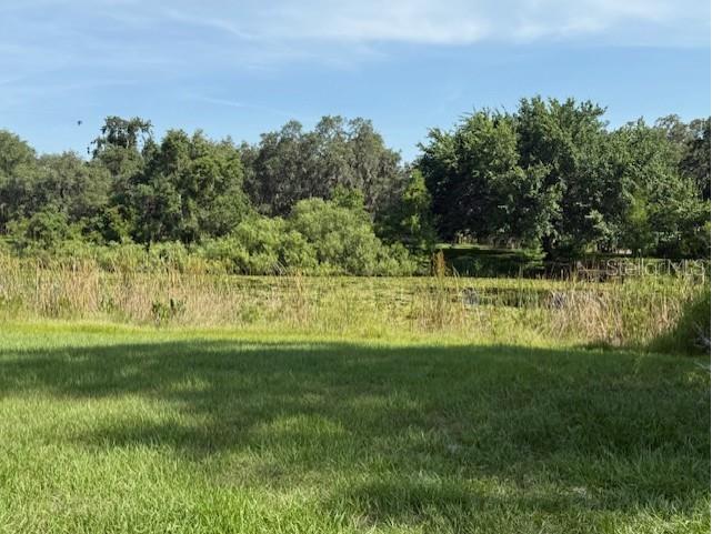 2550 S Bali Point Inverness FL 34450 OM703521 image4