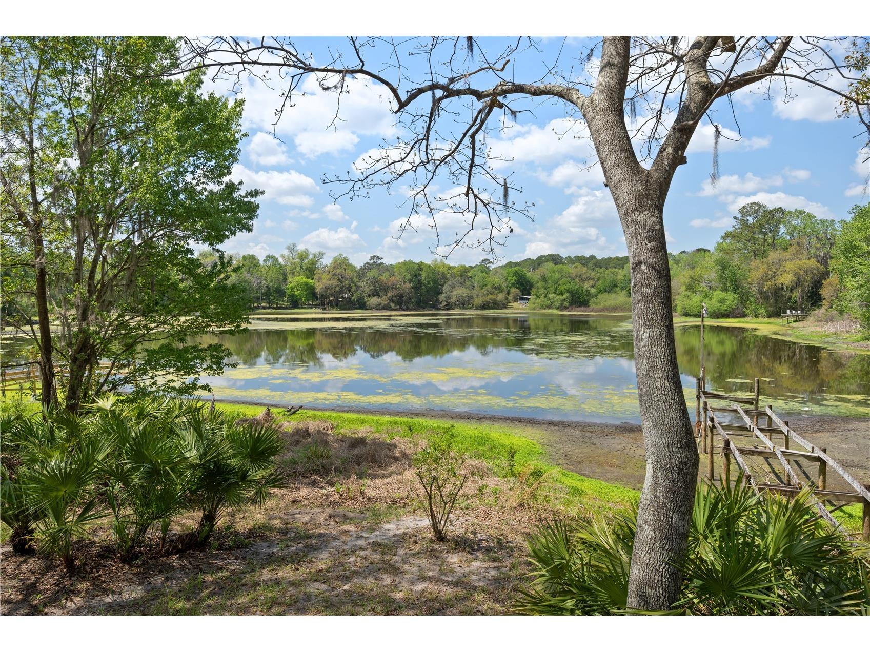 2550 SE 31st Street Gainesville FL 32641 OM721846 image3