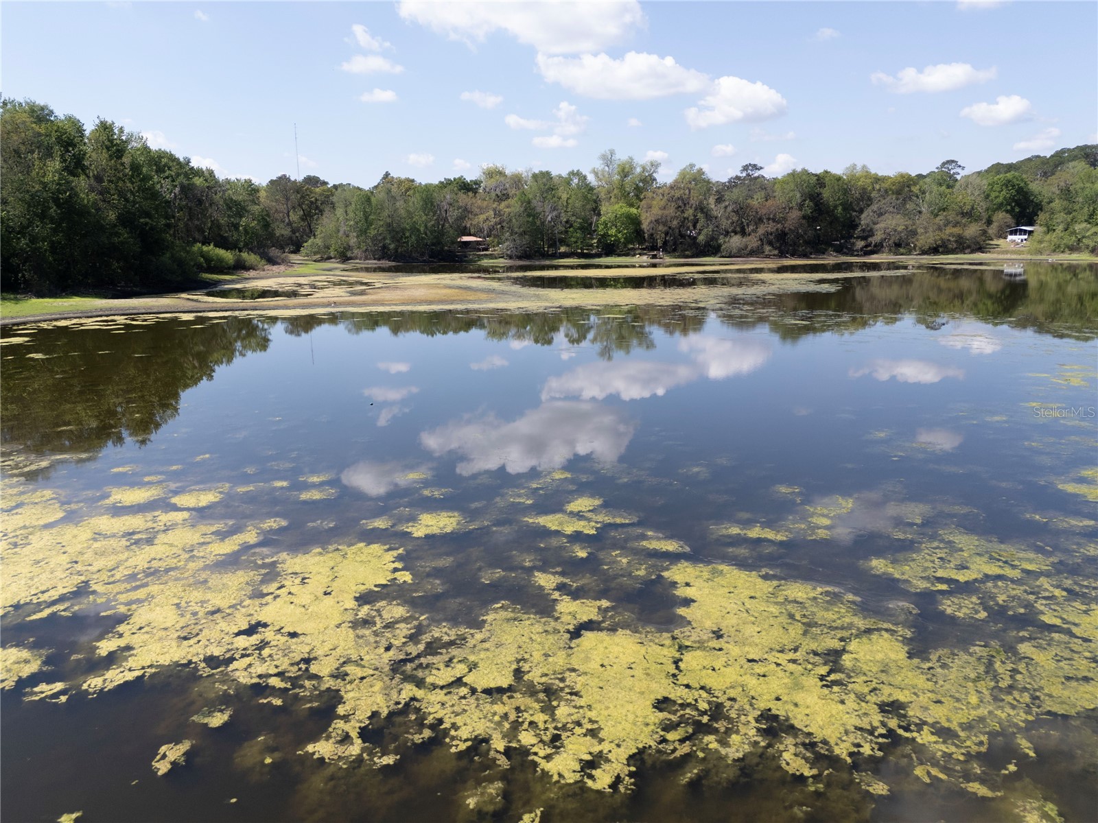 2550 SE 31st Street Gainesville FL 32641 OM721846 image33