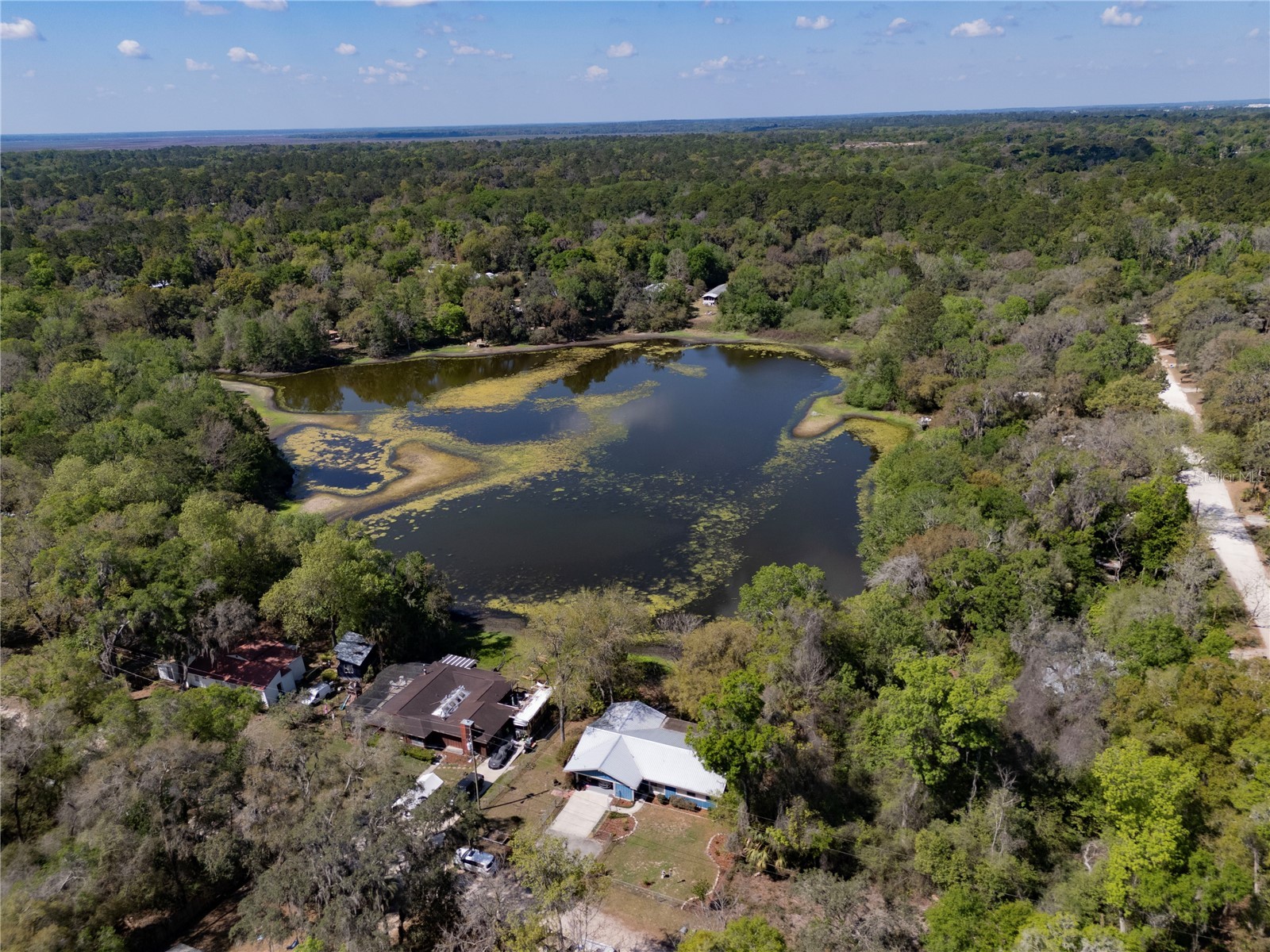 2550 SE 31st Street Gainesville FL 32641 OM721846 image5