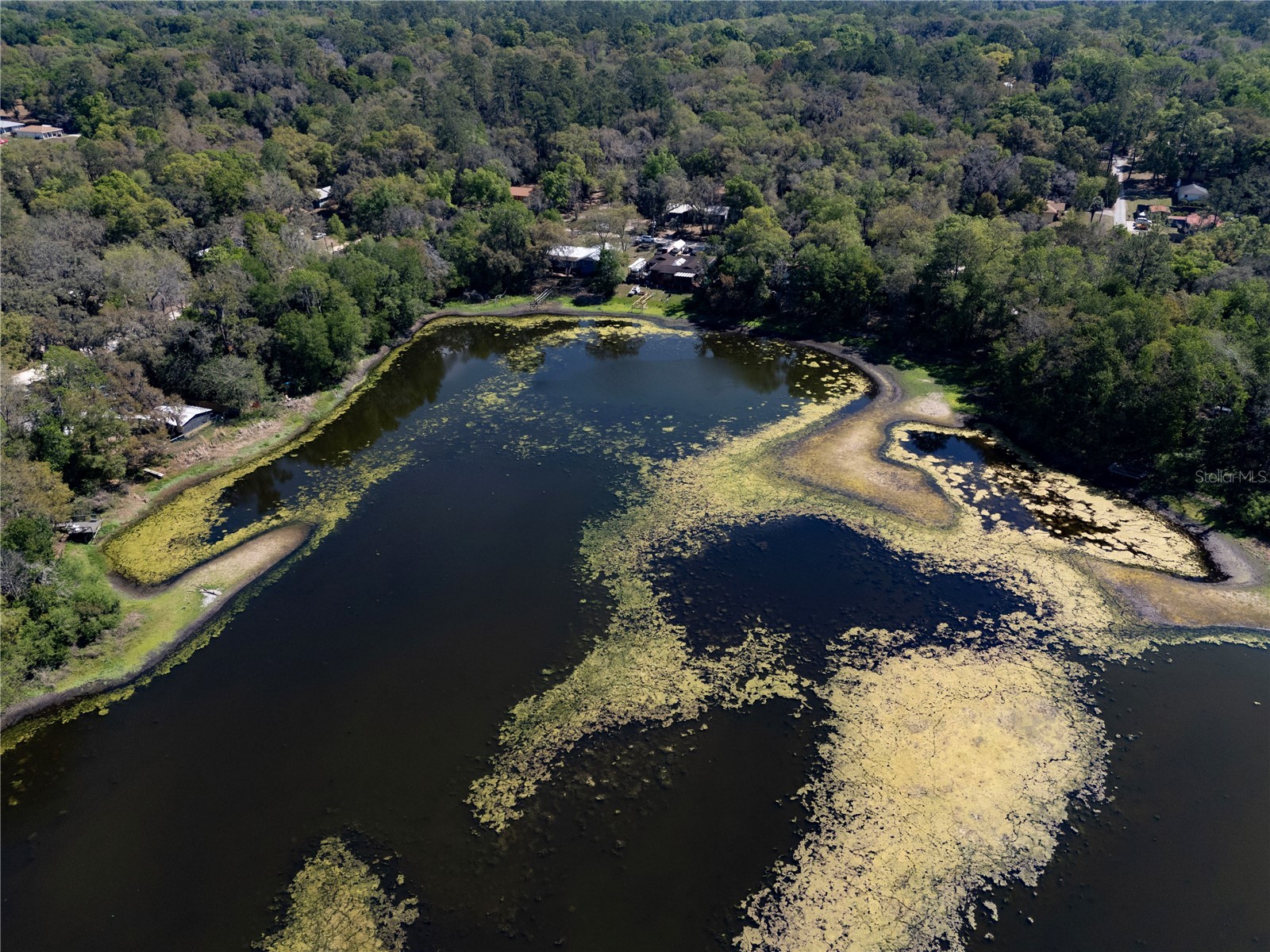 2550 SE 31st Street Gainesville FL 32641 OM721846 image6