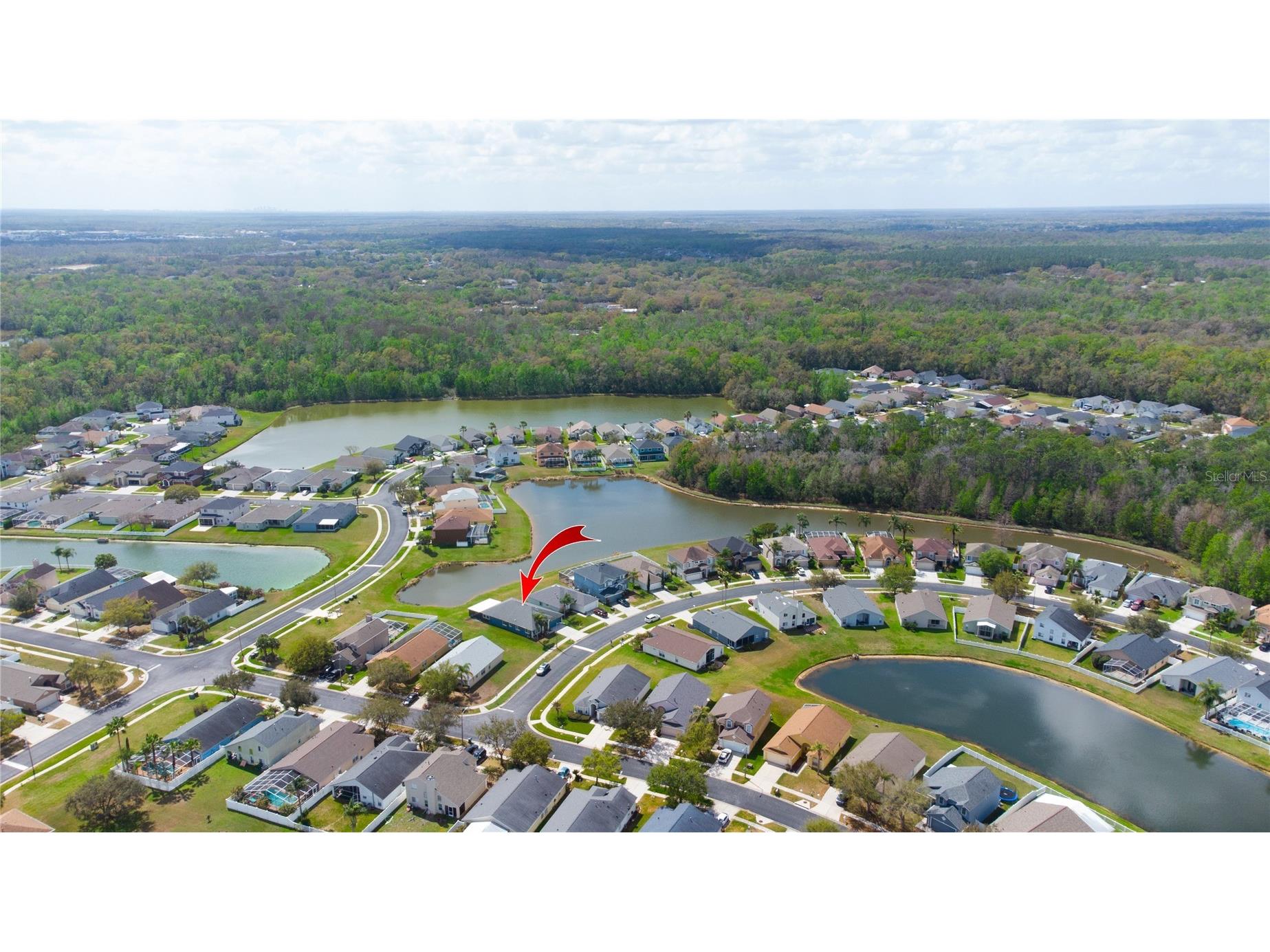 25500 Geddy Drive Land O Lakes FL 34639 TB8484370 image50