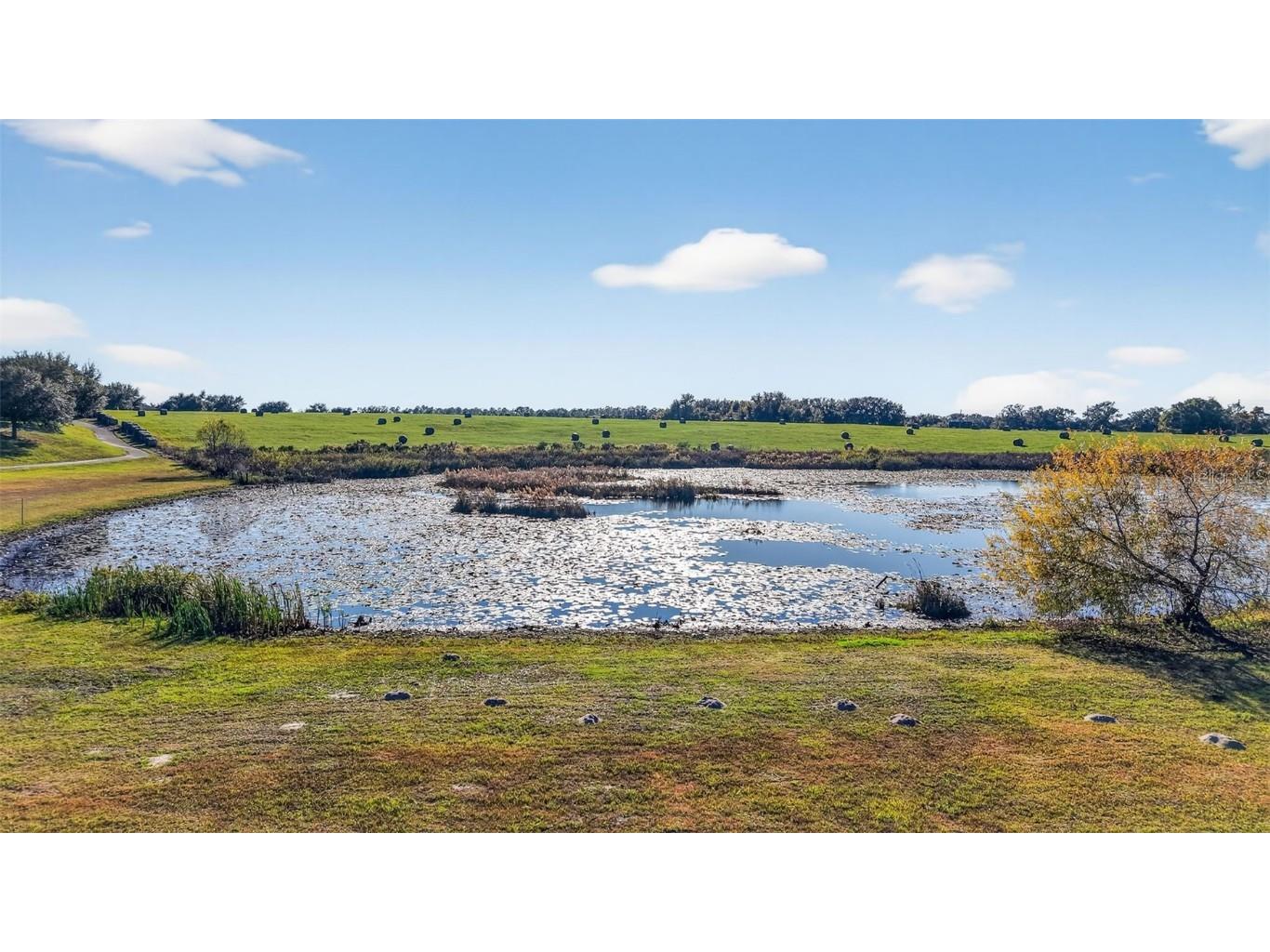 25501 Maurepas Lane Leesburg FL 34748 G5105507 image48