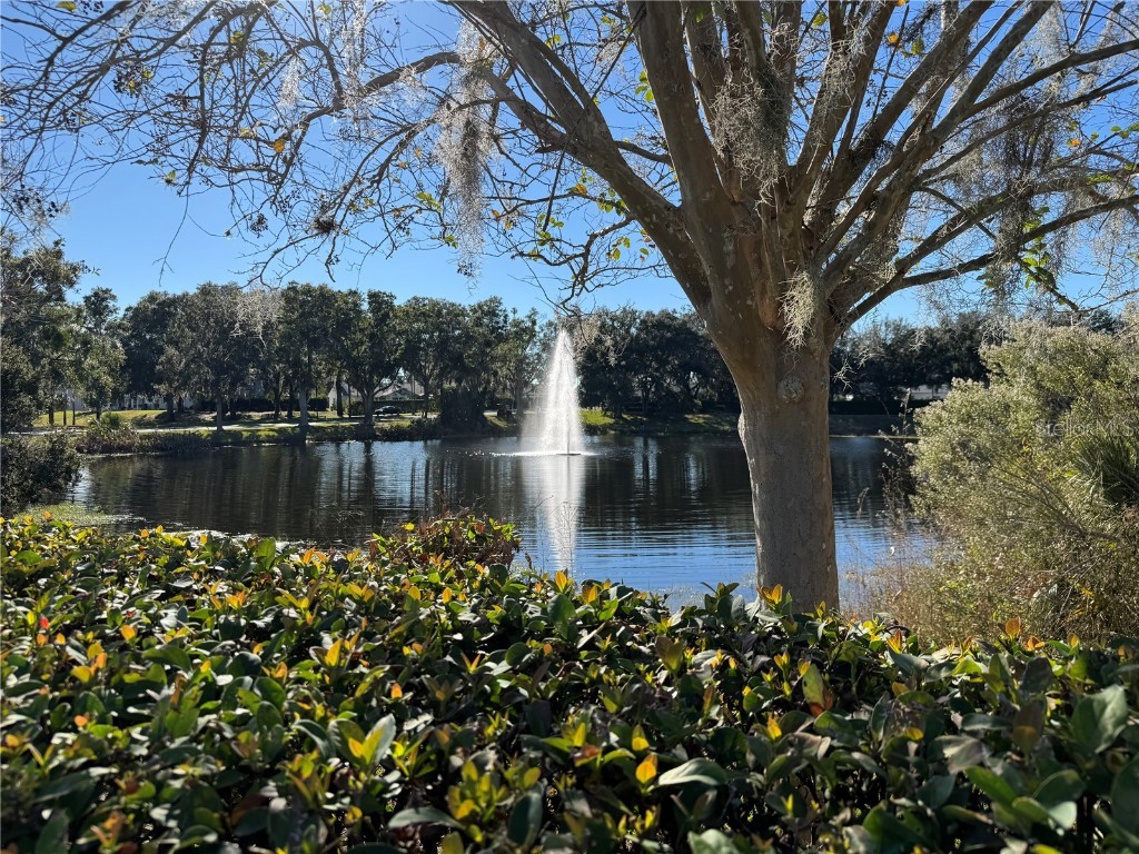 25501 Maurepas Lane Leesburg FL 34748 G5105507 image72