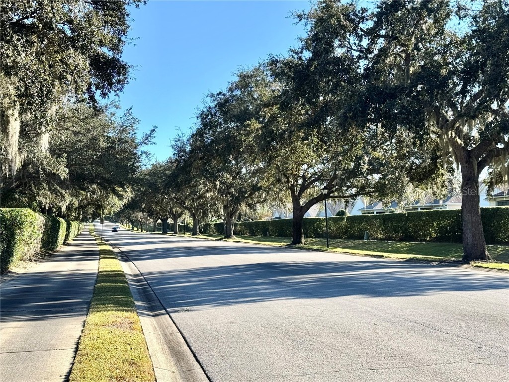 25501 Maurepas Lane Leesburg FL 34748 G5105507 image95