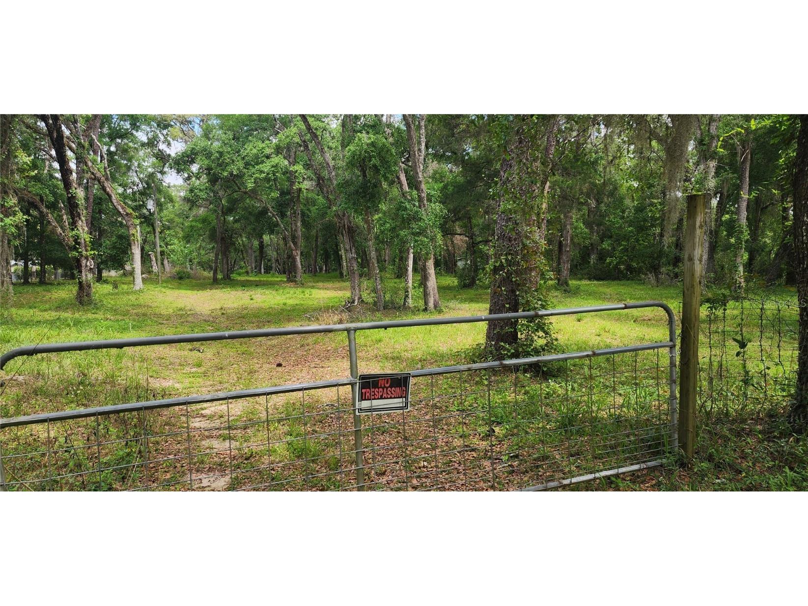 25501 Mondon Hill Road Brooksville FL 34601 W7864655 image1