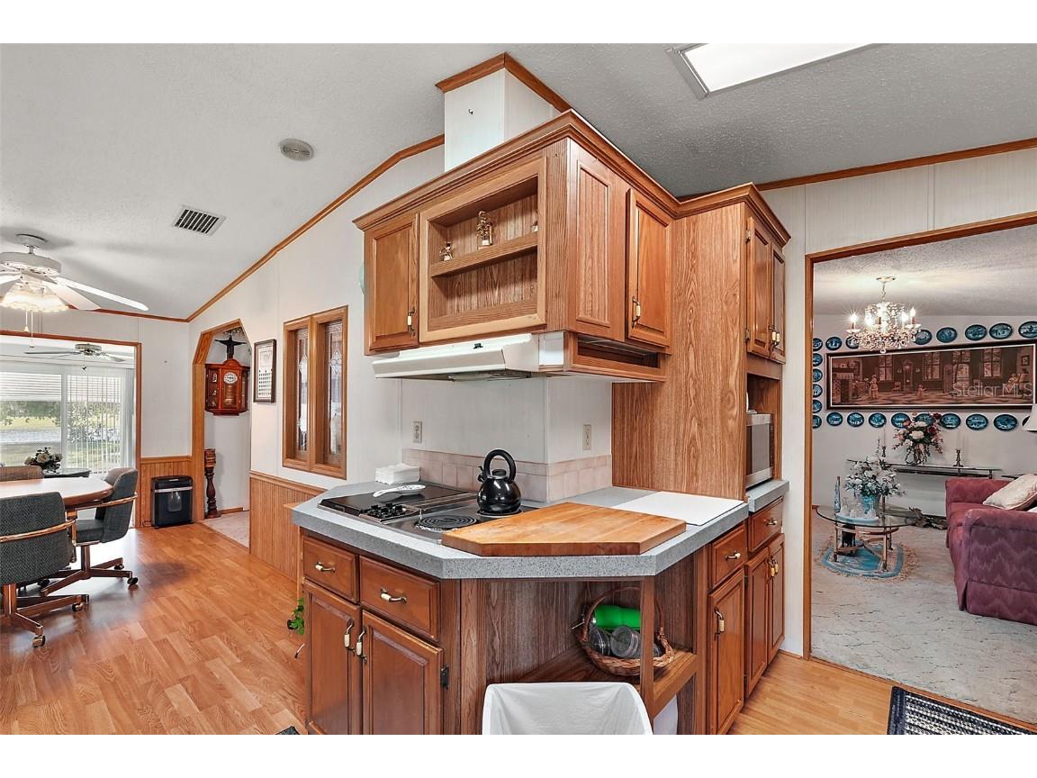 25504 Belle Alliance Leesburg FL 34748 G5104384 image9