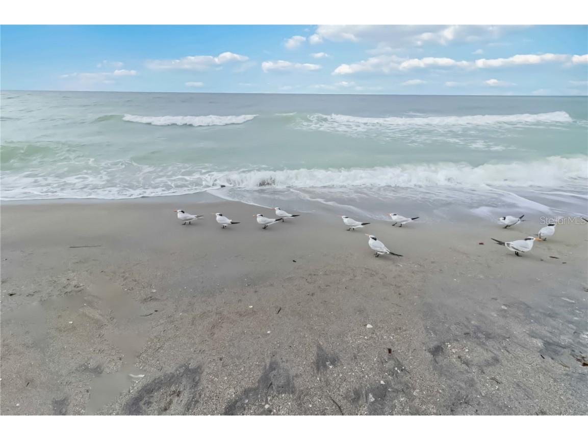 25508 Royal Tern Lane Englewood FL 34223 N6140436 image55