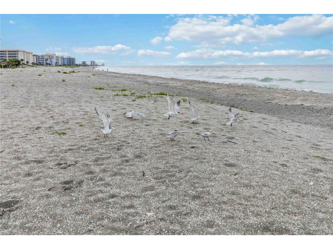 25508 Royal Tern Lane Englewood FL 34223 N6140436 image72