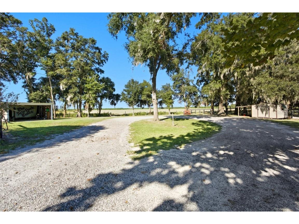 2551 NE 107th Place Chiefland FL 32626 OM710750 image11