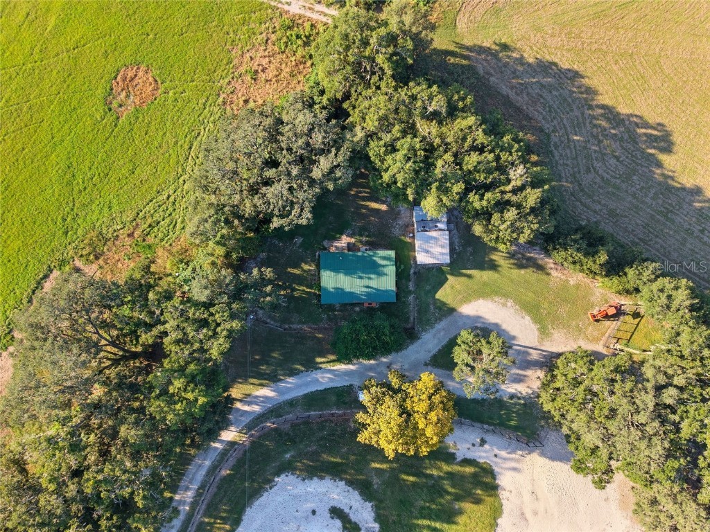 2551 NE 107th Place Chiefland FL 32626 OM710750 image2