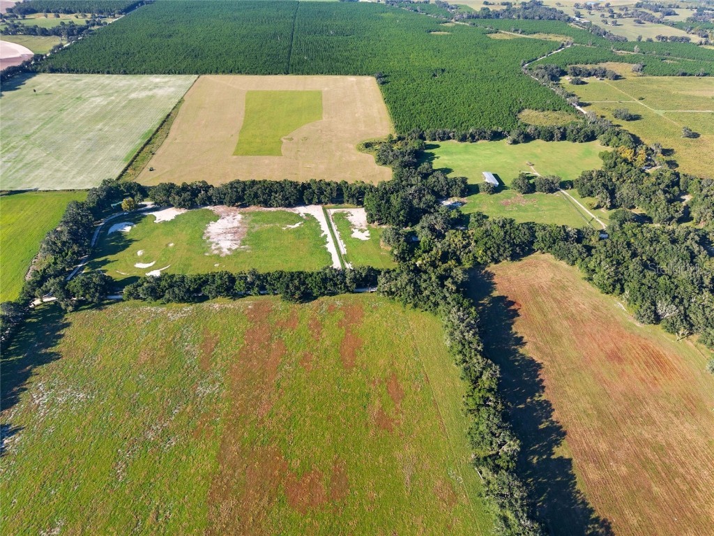 2551 NE 107th Place Chiefland FL 32626 OM710750 image42