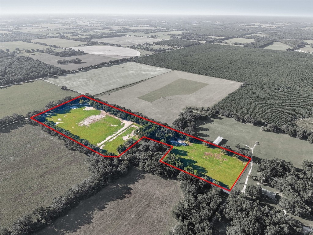 2551 NE 107th Place Chiefland FL 32626 OM710750 image43