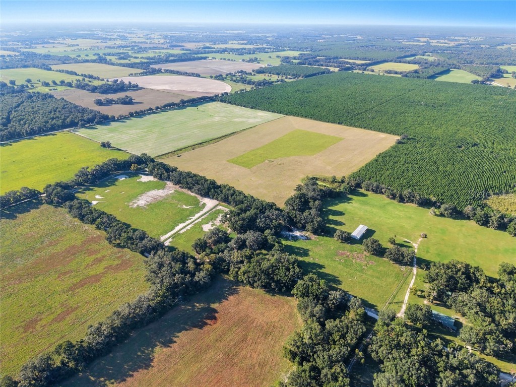 2551 NE 107th Place Chiefland FL 32626 OM710750 image44