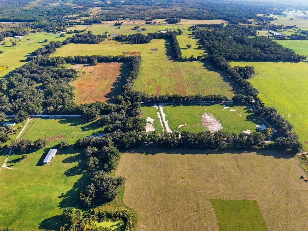 2551 NE 107th Place Chiefland FL 32626 OM710750 image46