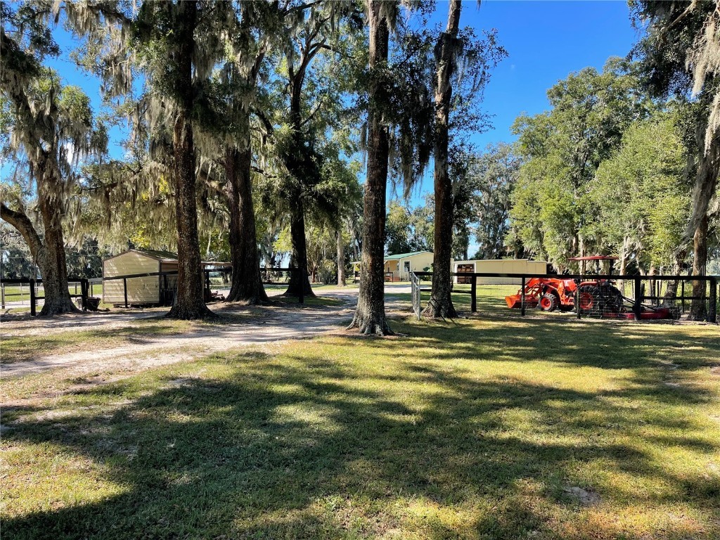 2551 NE 107th Place Chiefland FL 32626 OM710750 image52