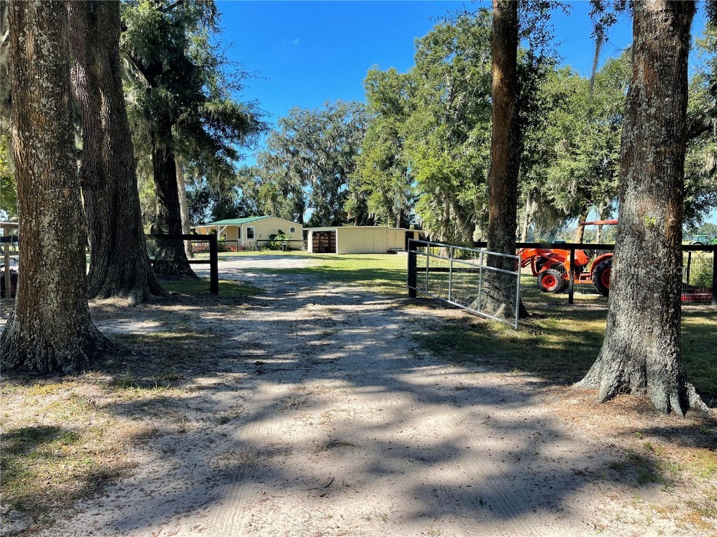 2551 NE 107th Place Chiefland FL 32626 OM710750 image53