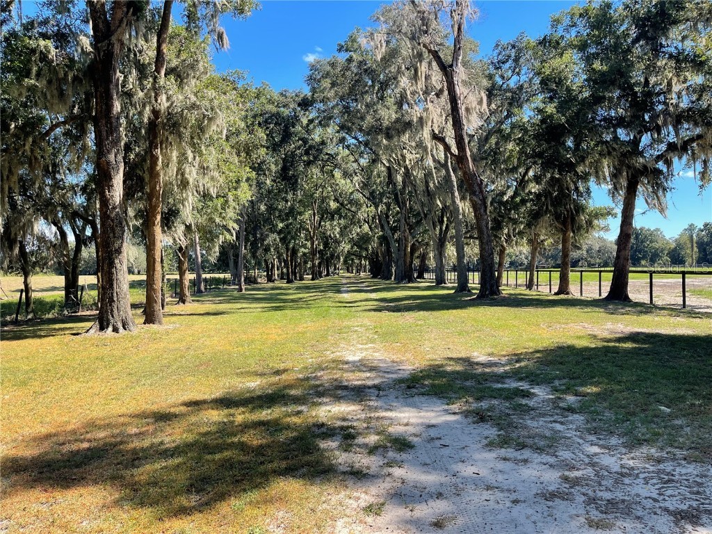 2551 NE 107th Place Chiefland FL 32626 OM710750 image55